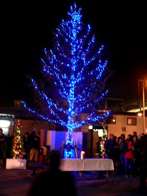 P1010769.JPG 480�~640 66K